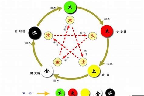 塑料五行属什么|塑料的五行是什么？